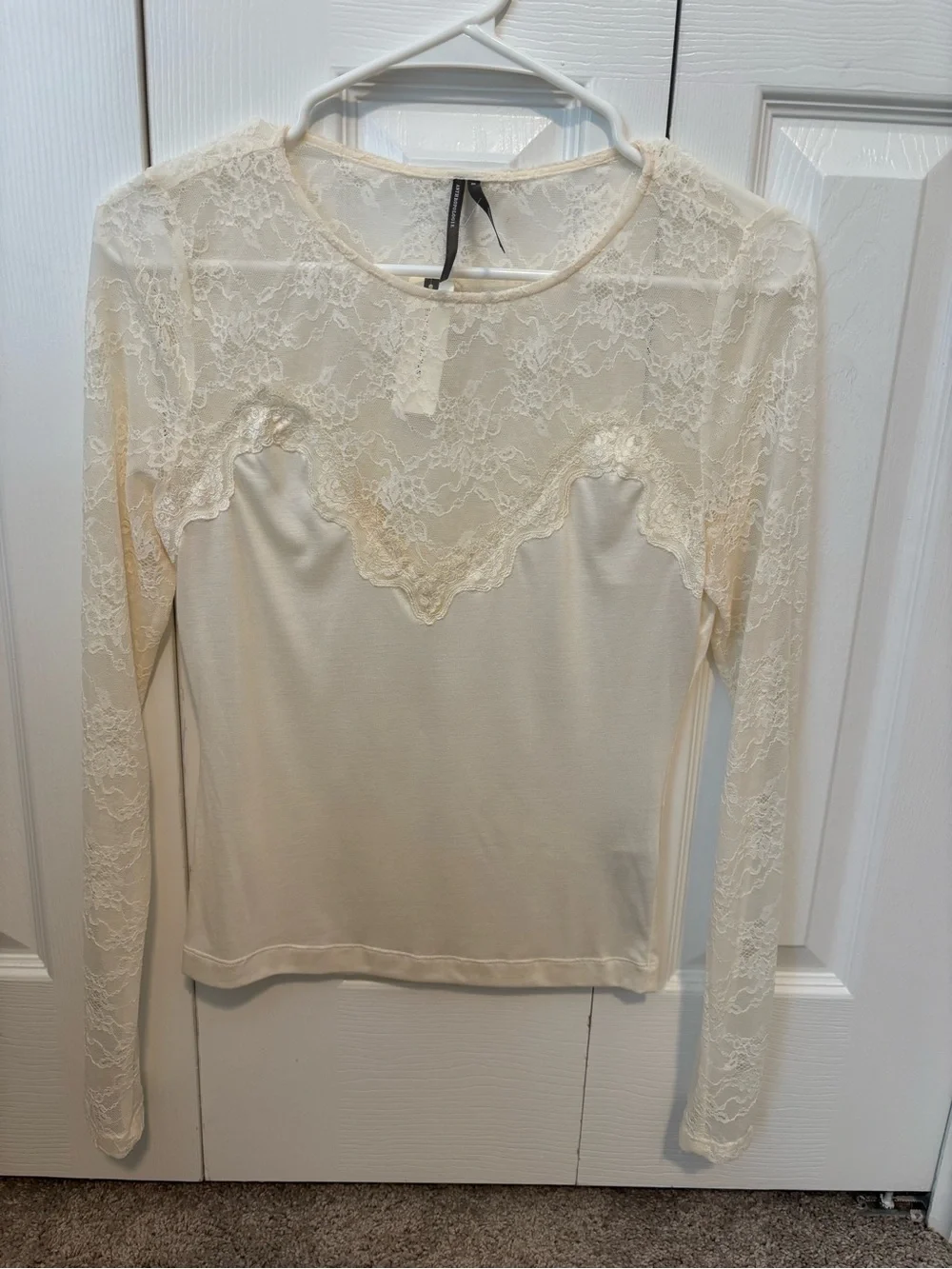 Anthropologie sheer lace